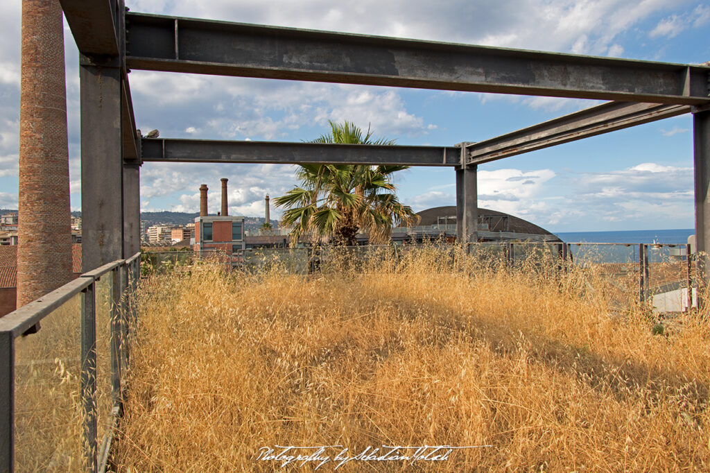 Italia Sicilia Catania by Sebastian Motsch