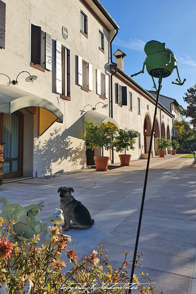 Agriturismo Col delle Rane Montebelluna Photo by Sebastian Motsch