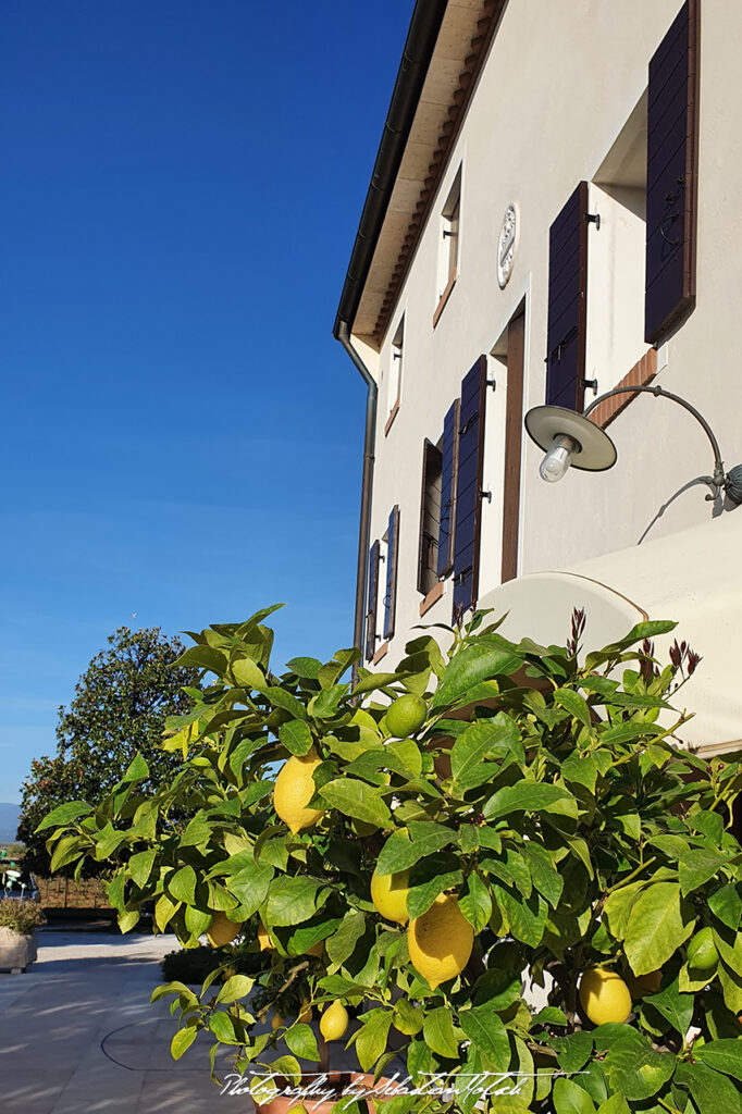 Agriturismo Col delle Rane Montebelluna Photo by Sebastian Motsch