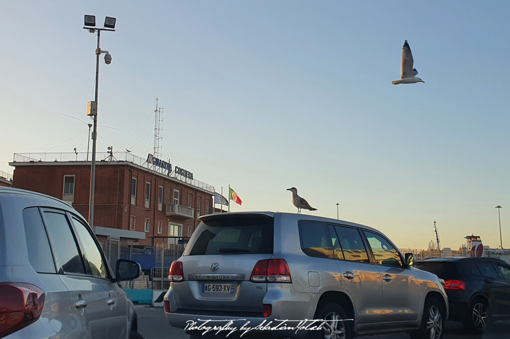 Blind Passenger in Livorno Photo by Sebastian Motsch