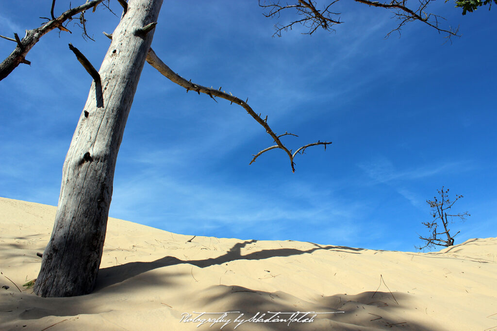 France Dune de Pilat Photography by Sebastian Motsch