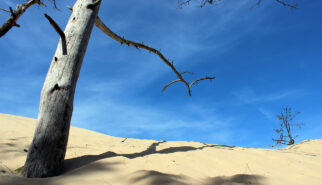 France Dune de Pilat Photography by Sebastian Motsch