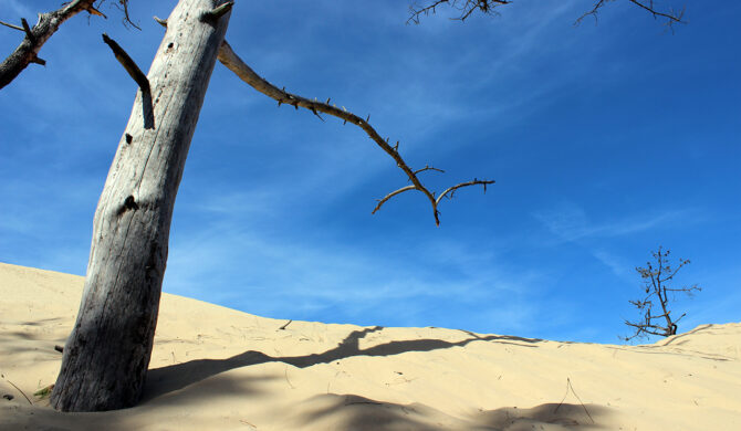 France Dune de Pilat Photography by Sebastian Motsch