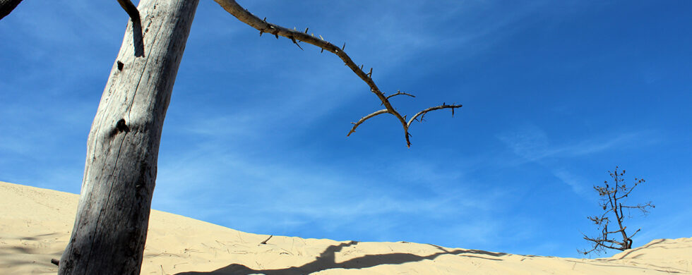 France Dune de Pilat Photography by Sebastian Motsch