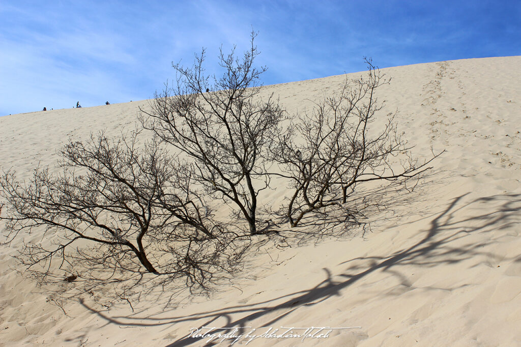 France Dune de Pilat Photography by Sebastian Motsch