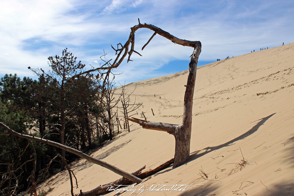 France Dune de Pilat Photography by Sebastian Motsch