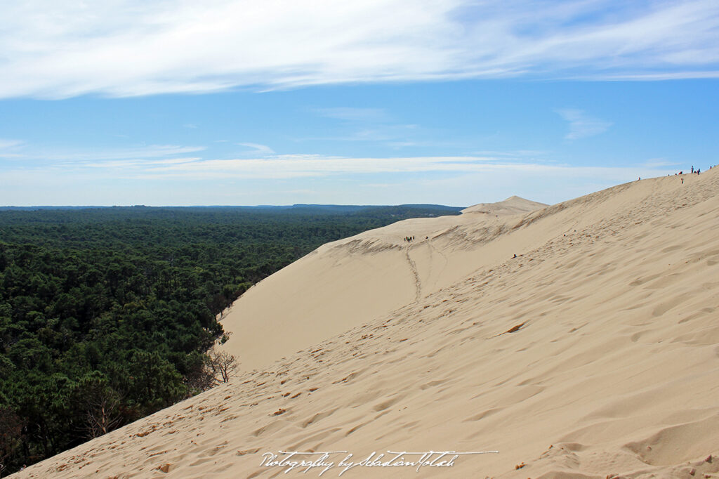 France Dune de Pilat Photography by Sebastian Motsch