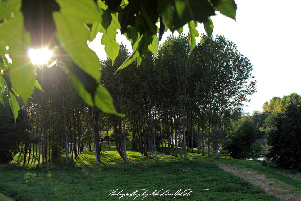 Sunset in Sourzac France Photo by Sebastian Motsch