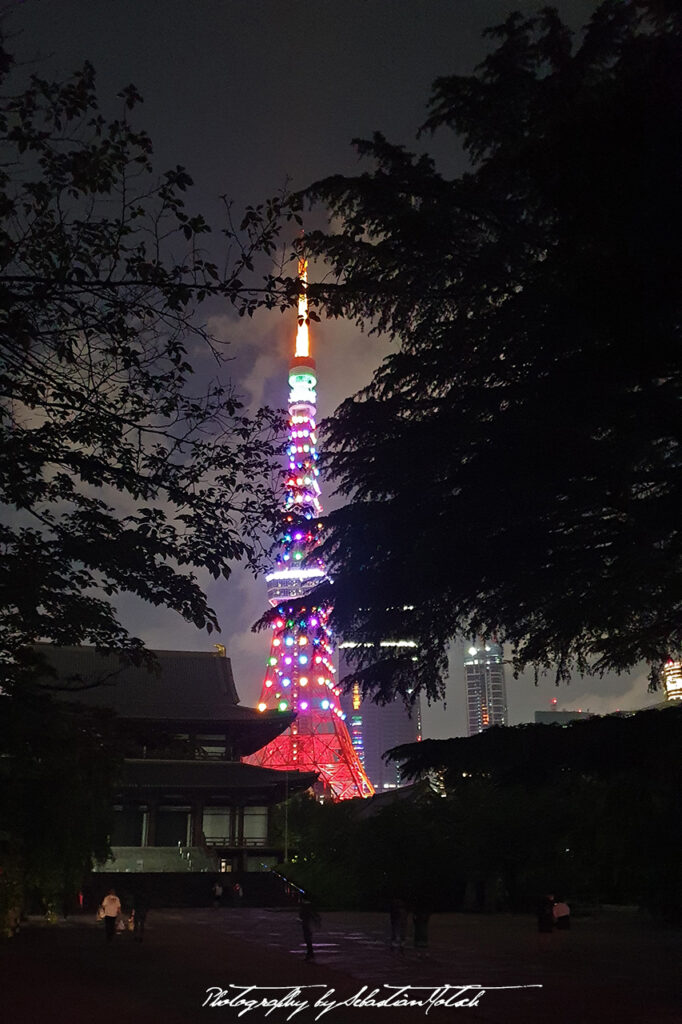 Tokyo Tower seen through Trees by Sebastian Motsch