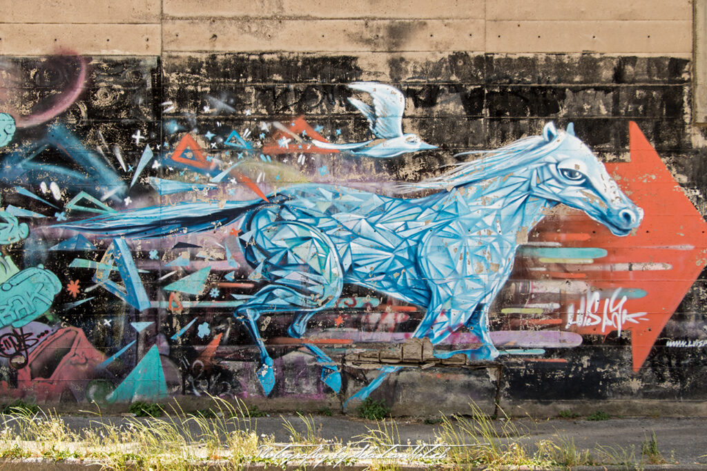 Graffitti in Battipaglia Italia Photography by Sebastian Motsch