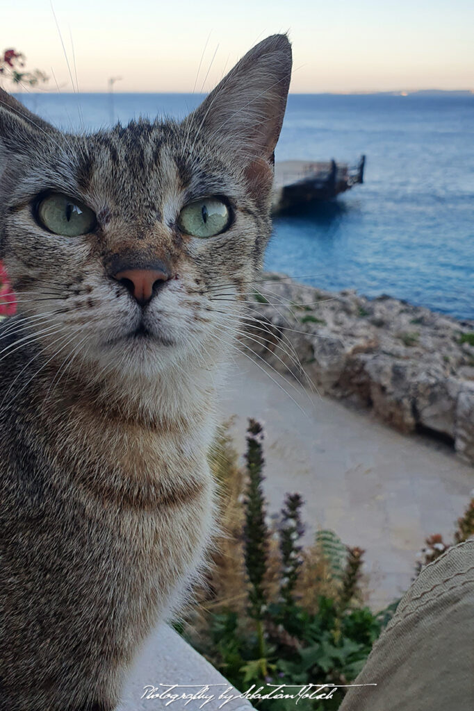 Isola di Levanzo Sicilia Italia Photography by Sebastian Motsch