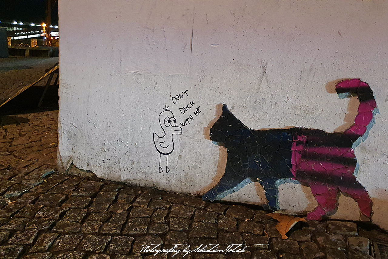 Street Art Cat in Berlin Photography by Sebastian Motsch