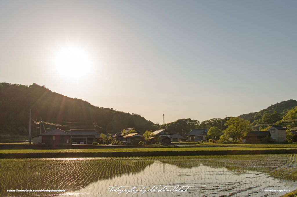 Rice Field near Motegi Japan Drive-by Snapshots by Sebastian Motsch