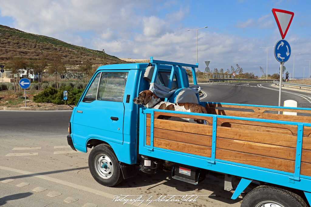 Flatbed Van with Dog Malta Drive-by Snapshots by Sebastian Motsch