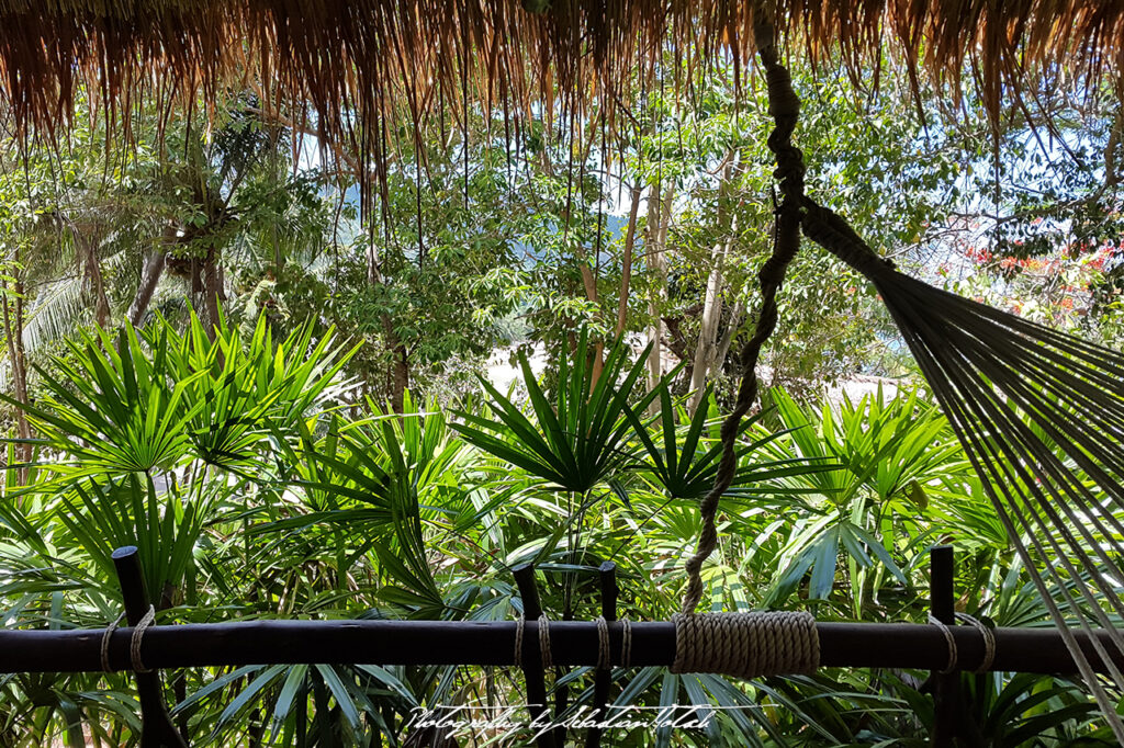 Thailand Koh Tao 2016 Photography by Sebastian Motsch