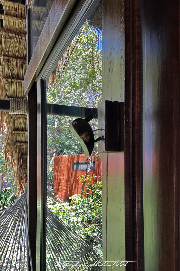 Thailand Koh Tao 2016 Photography by Sebastian Motsch