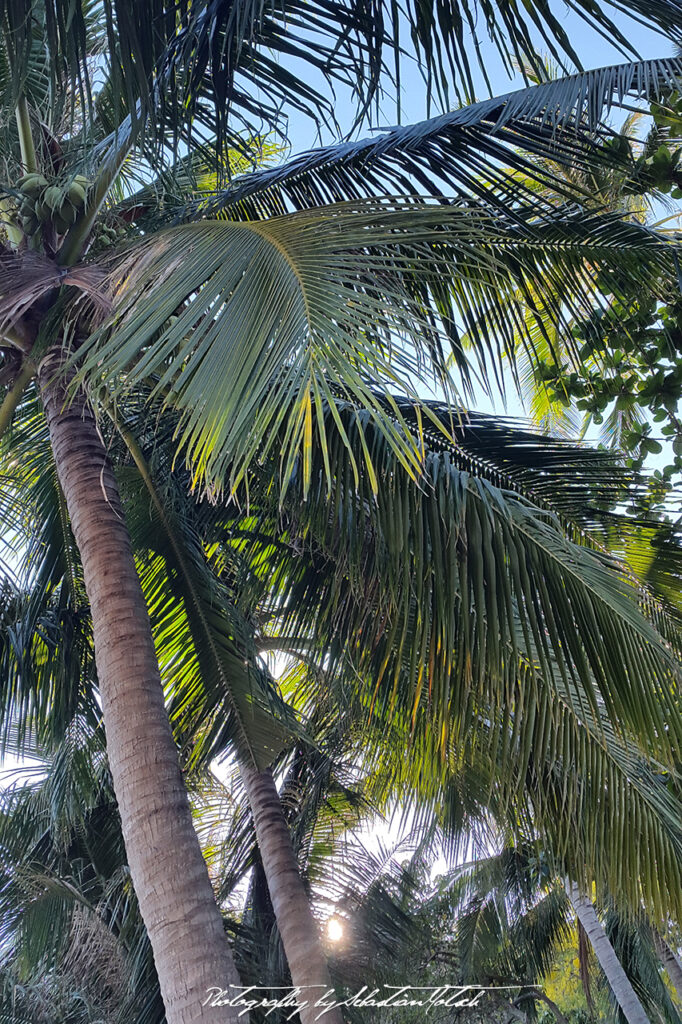 Thailand Koh Tao 2016 Photography by Sebastian Motsch