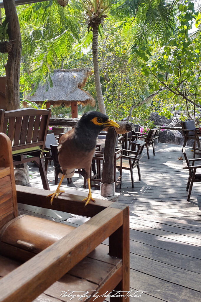 Thailand Koh Tao 2016 Photography by Sebastian Motsch