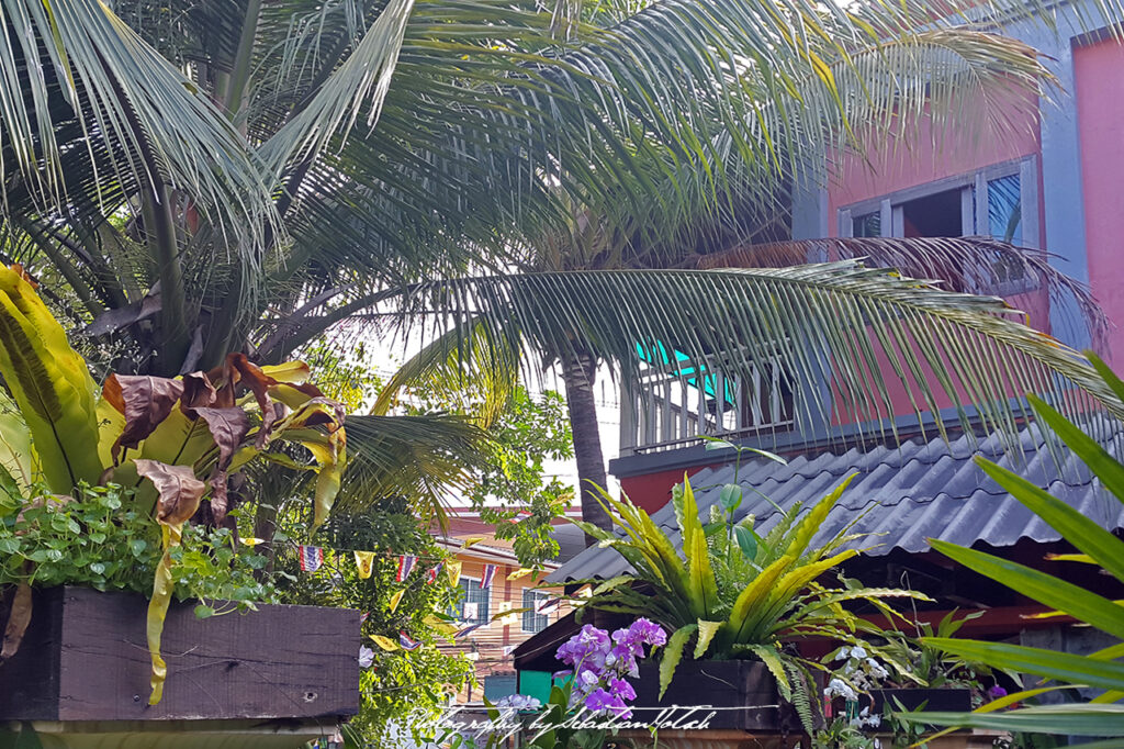 Thailand Koh Tao 2016 Photography by Sebastian Motsch