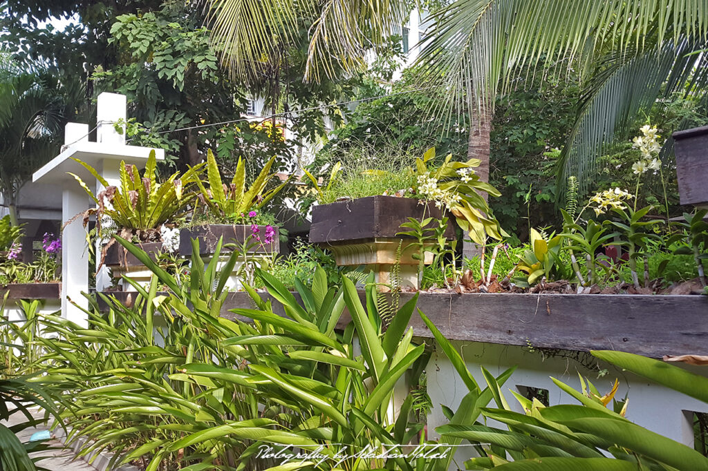 Thailand Koh Tao 2016 Photography by Sebastian Motsch