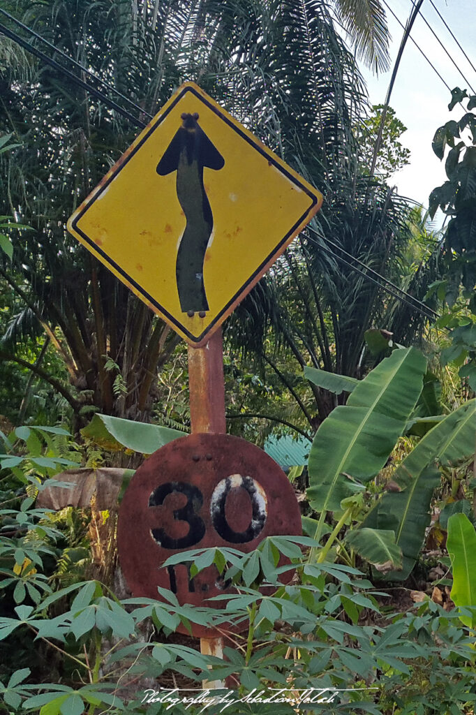 Thailand Surat Thani Photography by Sebastian Motsch