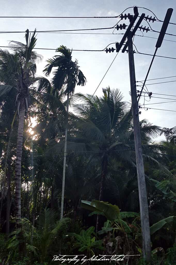 Thailand Surat Thani Photography by Sebastian Motsch