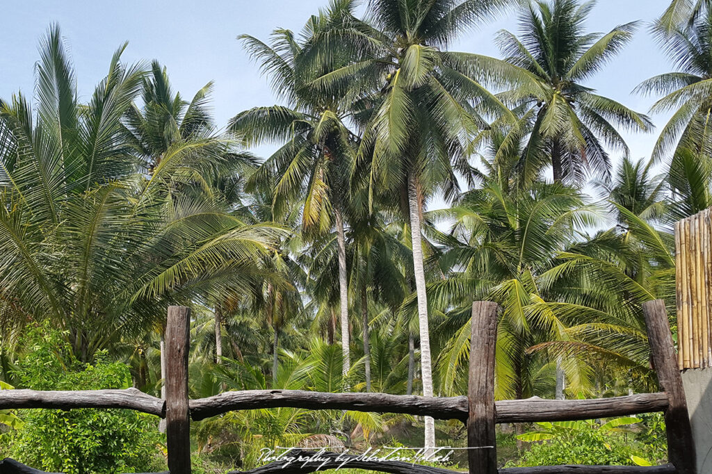 Thailand Surat Thani Photography by Sebastian Motsch