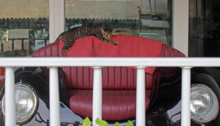 Auto Vintage Cafe Bangkok Thailand Photography by Sebastian Motsch