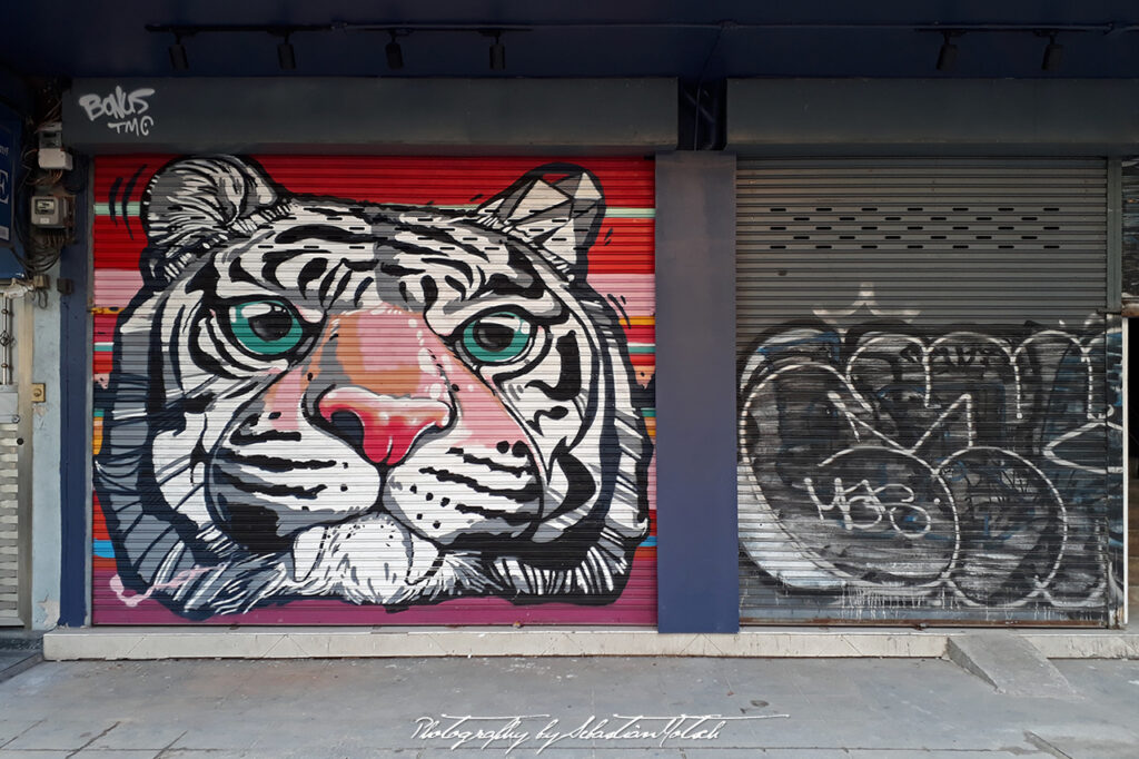 Thailand Bangkok Tiger Graffiti Photo by Sebastian Motsch