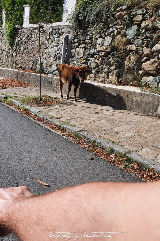 Corsica Vezzani Mountain Bike Tour Photo by Sebastian Motsch