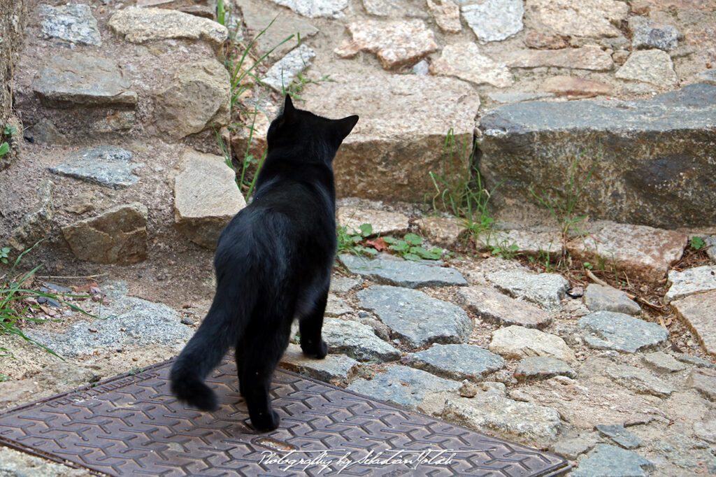 Corsica Sant Antonino Photography by Sebastian Motsch