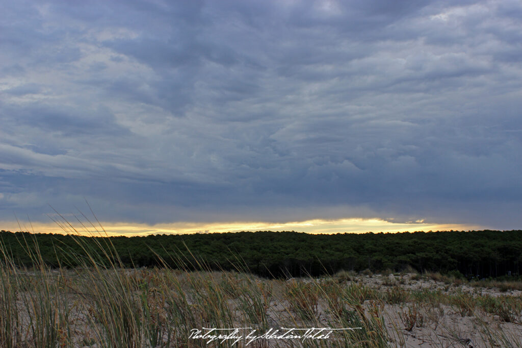 2015-09-16 Clouds and Forest Cap Homy Photo by Sebastian Motsch