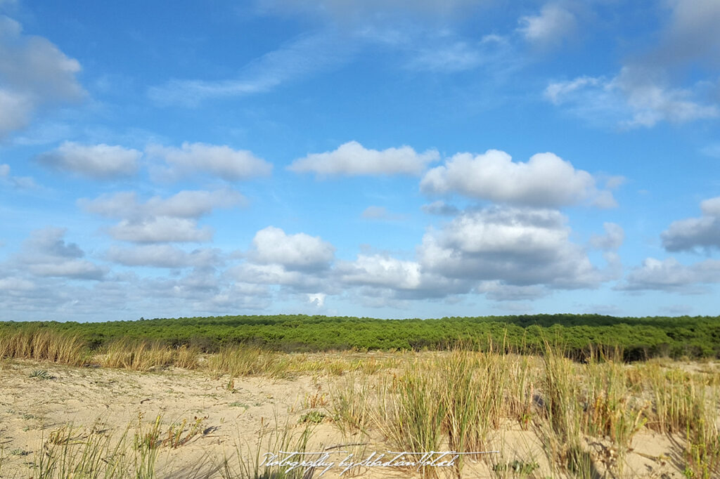 2015-09-18 France Cap Homy Forest and Clouds Photo by Sebastian Motsch
