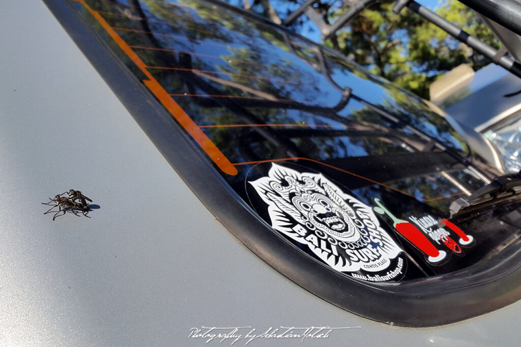 Mitsubishi L300 GLX Stickers Cap Homy Photo by Sebastian Motsch