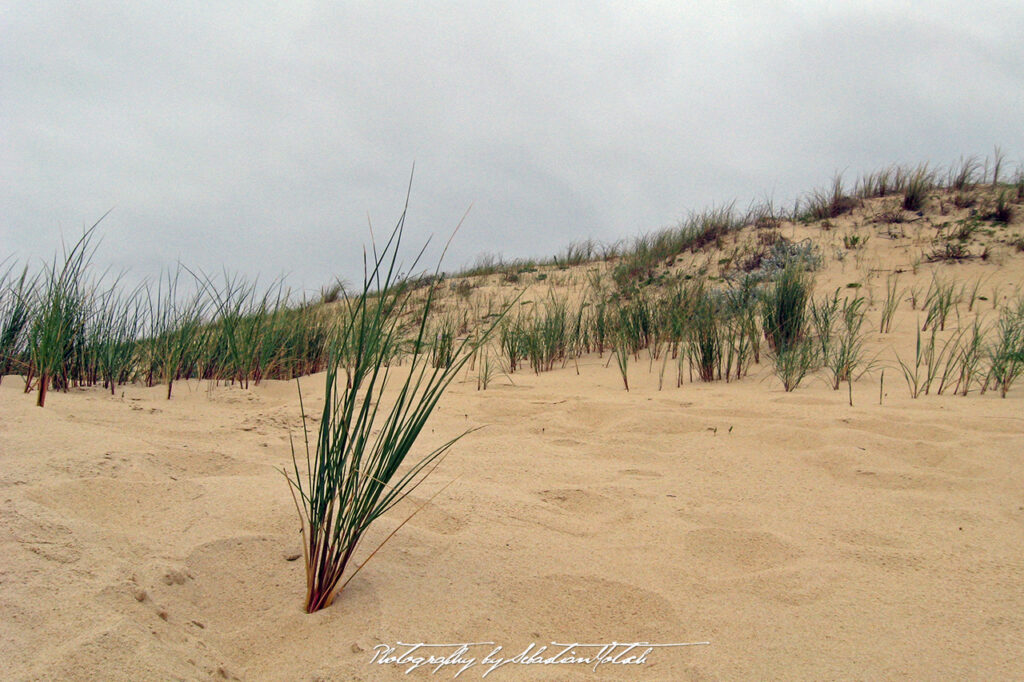 2009-05-21 France Saint-Girons Plage Photography by Sebastian Motsch