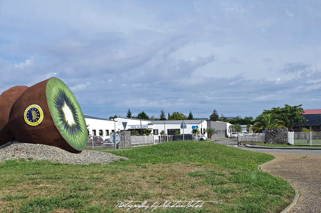 2021-09-28 France D871 Kiwi Photography by Sebastian Motsch
