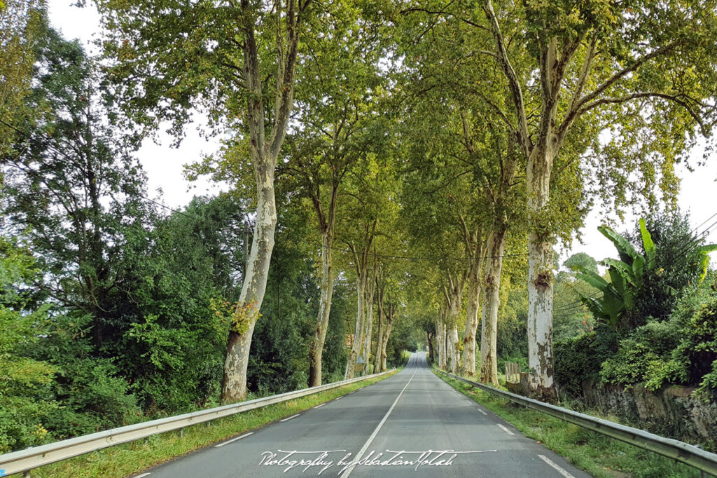 2021-09-28 France D871 Photography by Sebastian Motsch