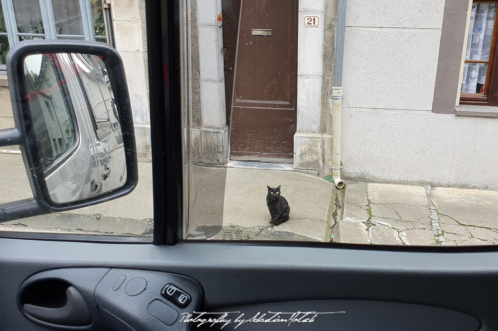 2021-09-28 France St-Bertrand de Comminges Cat Photography by Sebastian Motsch