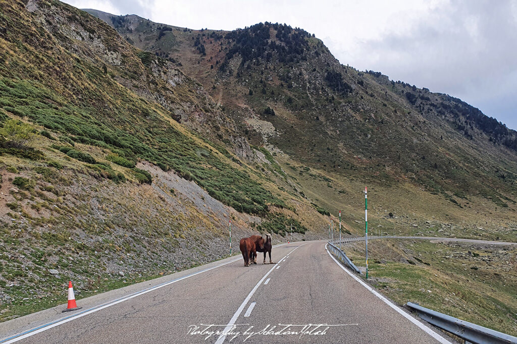 2021-09-28 Spain Port de la Bonaigua Photography by Sebastian Motsch