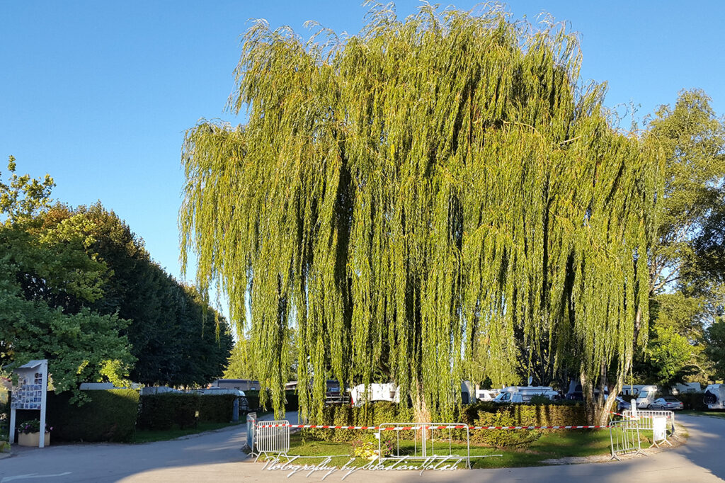 Camping Municipal Beaune France Photo by Sebastian Motsch