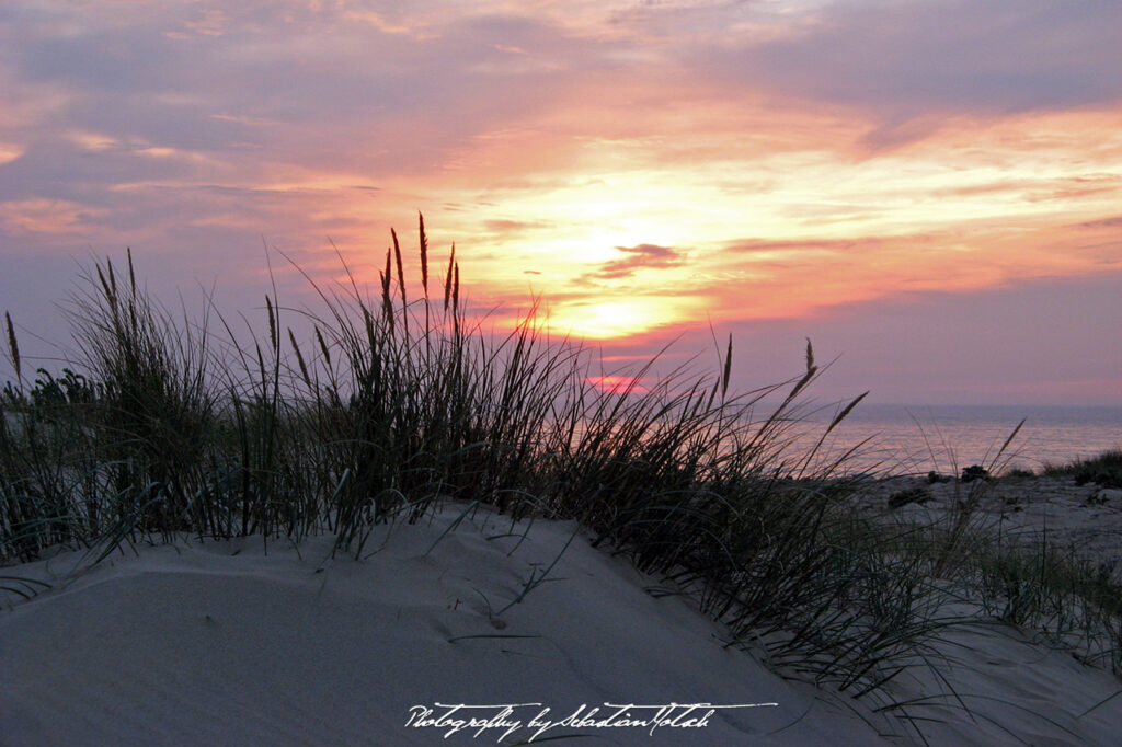 France Cap Homy Surfcamp 2007 Photography by Sebastian Motsch