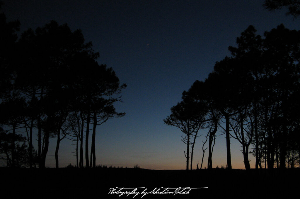 La Nuit Cap Homy Plage 2007 Photography by Sebastian Motsch