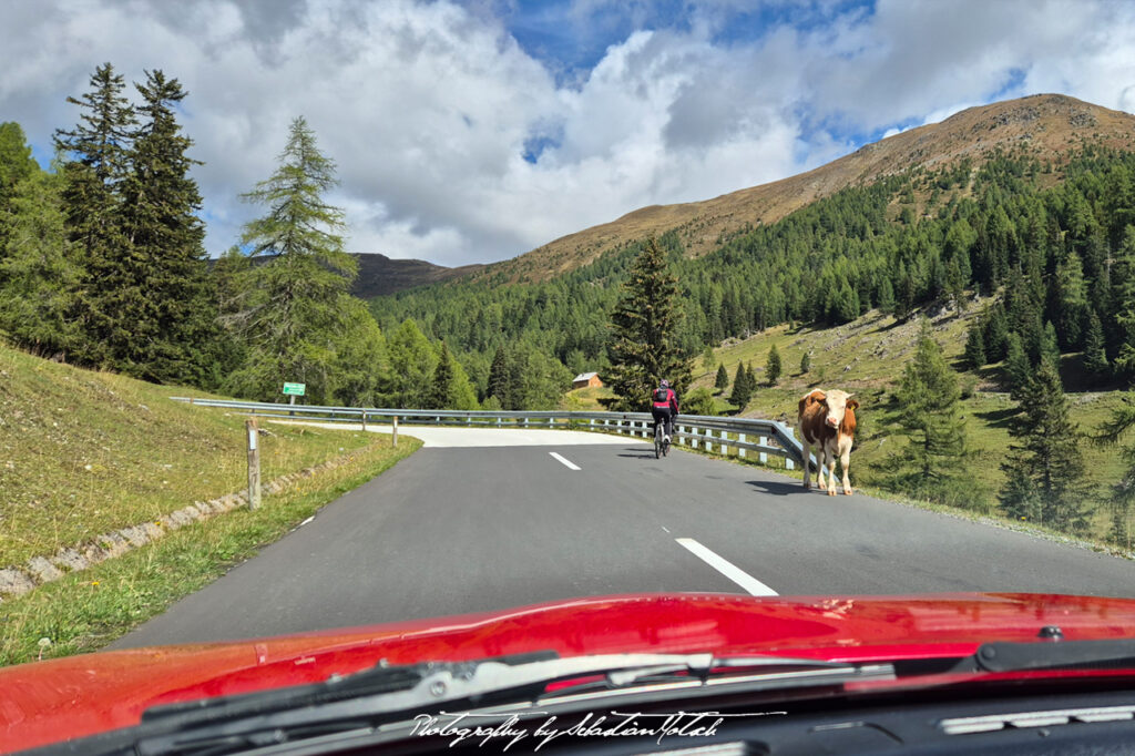 Mazda Miata NA Nockalmstraße Cow Austria Photography by Sebastian Motsch