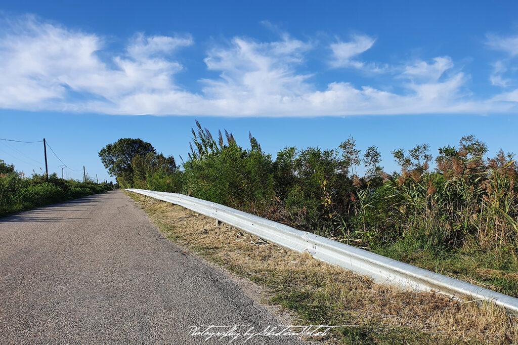 2021-09-30 France Camargue Photography by Sebastian Motsch