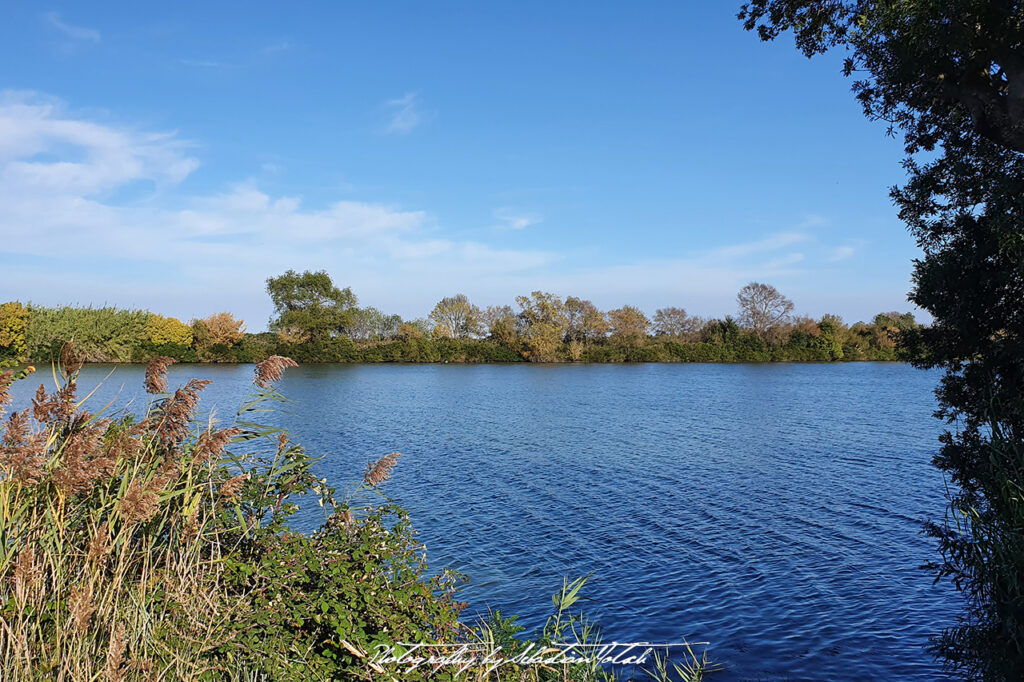 2021-09-30 France Camargue Photography by Sebastian Motsch