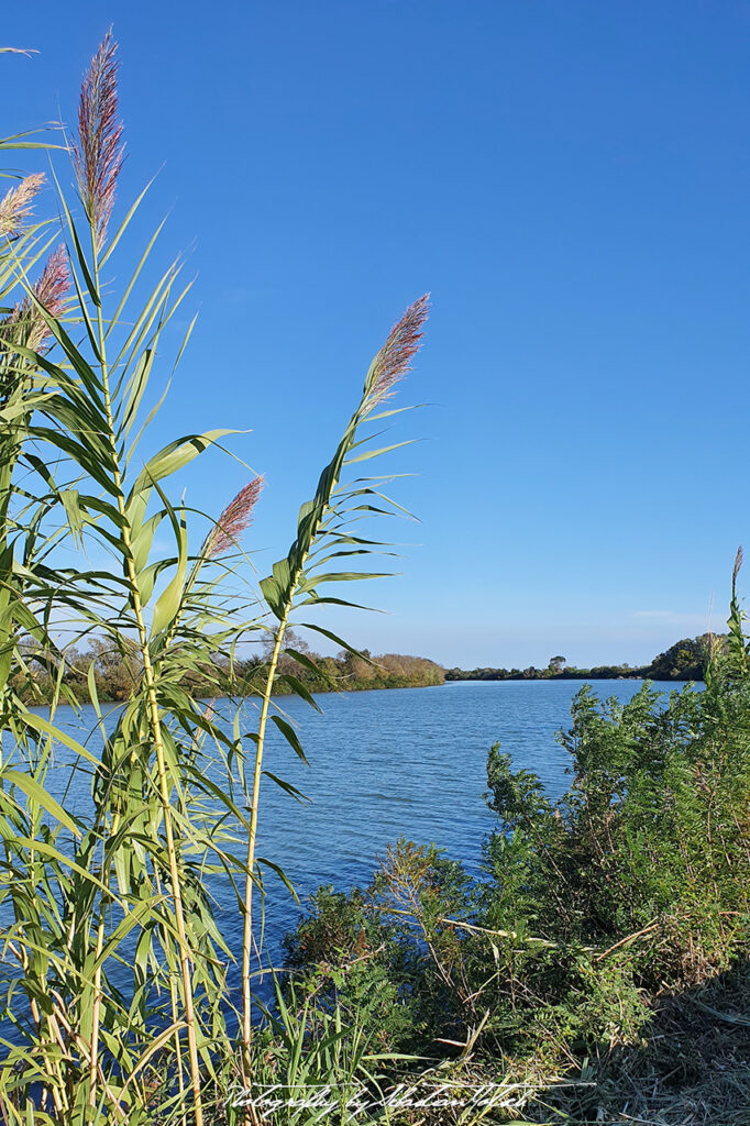 2021-09-30 France Camargue Photography by Sebastian Motsch