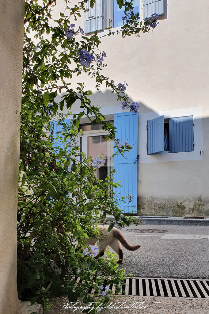 2021-10-01 France Chateauneuf-du-Pape Photography by Sebastian Motsch