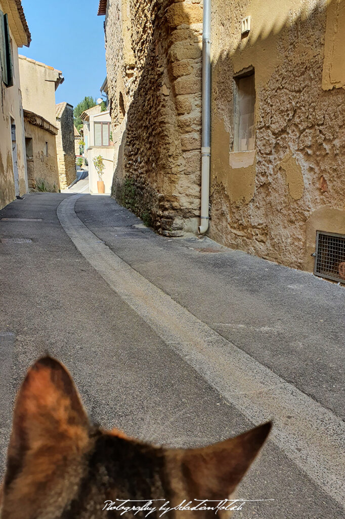 2021-10-01 France Chateauneuf-du-Pape Photography by Sebastian Motsch