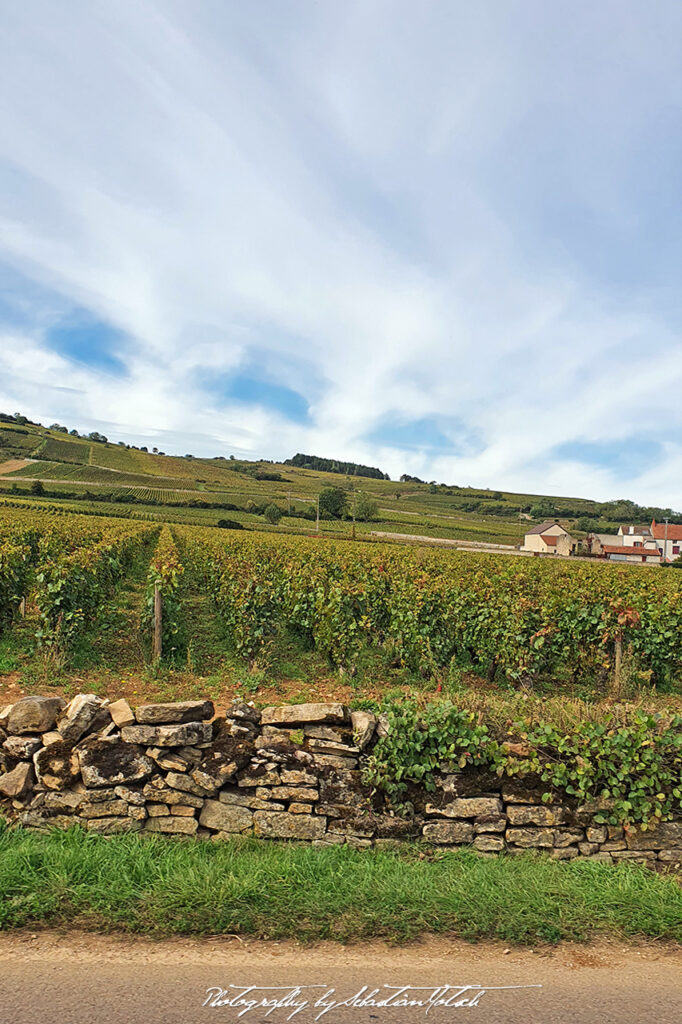 2021-10-02 France Bourgogne Photography by Sebastian Motsch